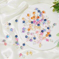 100Pcs Glass Charms&nbsp;FIND-HY0001-41