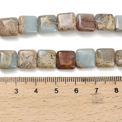 Natural Aqua Terra Jasper Beads Strands&nbsp;G-Z110-H01-10x10mm