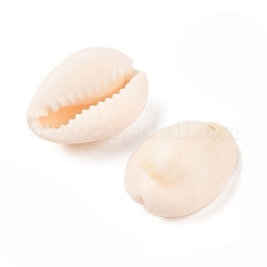 Cowrie Shell Pendants&nbsp;PTS057Y