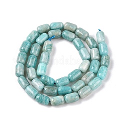 Natural Amazonite Beads Strands&nbsp;G-G980-36A