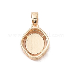 304 Stainless Steel Enamel Pendants&nbsp;LS-STAS-H174-03Q