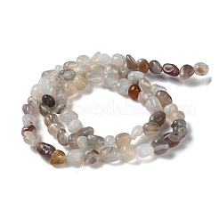 Natural Botswana Agate Beads Strands&nbsp;G-D081-A03