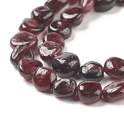 Natural Garnet Beads Strands&nbsp;X-G-L478-52