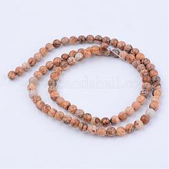 Natural Picture Jasper Beads Strands&nbsp;G-Q462-6mm-35