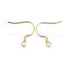304 Stainless Steel Earring Hooks&nbsp;STAS-P210-19G