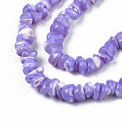 Natural Freshwater Shell Beads Strands&nbsp;SHEL-N003-23-B01