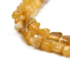 Natural Gemstone Beads Strands&nbsp;G-P497-01E-14