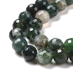Natural Moss Agate Beads Strands&nbsp;G-E571-21B