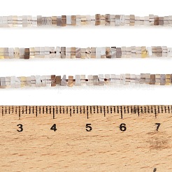 Natural Botswana Agate Beads Strands&nbsp;GG-CBA2498-C06-01