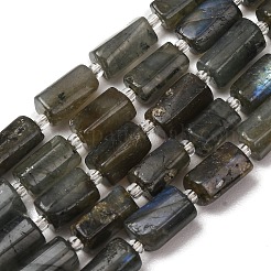 Natural Labradorite Beads Strands&nbsp;G-F836-B06-02