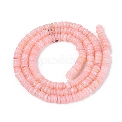 Natural Freshwater Shell Beads Strands&nbsp;SHEL-Q028-01D