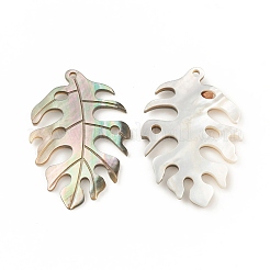 Natural Black Lip Shell Pendants&nbsp;SSHEL-T012-18