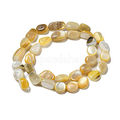 Natural Yellow Shell Beads Strands&nbsp;SSHEL-H072-08