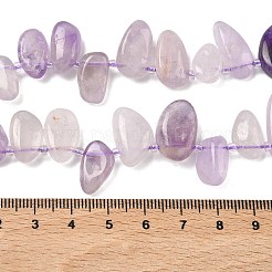 Natural Amethyst Beads Strands&nbsp;G-P604-A09-01