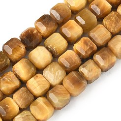 Natural Gold Tiger Eye Beads Strands&nbsp;G-C267-A11