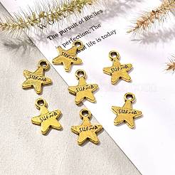 Tibetan Style Alloy Charms&nbsp;LS-GLF9221Y