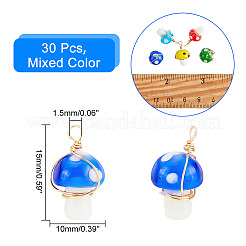 30Pcs Handmade Lampwork Charms&nbsp;FIND-PH0007-96