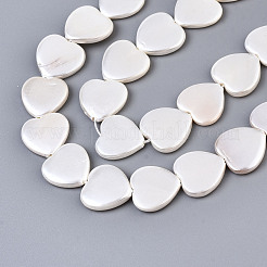 Electroplate Natural Shell Beads Strands&nbsp;BSHE-Q034-003D