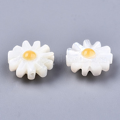 Natural White Shell Mother of Pearl Shell Beads&nbsp;SHEL-S266-13A