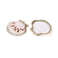 Electroplate Natural Sea Shell Pendants&nbsp;SSHEL-T018-17