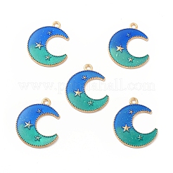 Alloy Pendants&nbsp;LS-ENAM-M052-03G-D