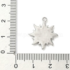 304 Stainless Steel Pendants&nbsp;STAS-K267-14B-P