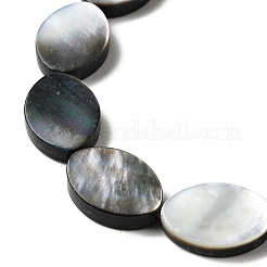 Natural Black Lip Shell Beads Strands&nbsp;BSHE-D300-02-13x18mm