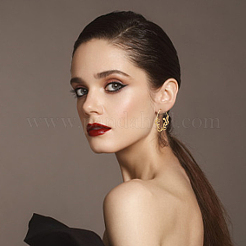 3 Pairs 3 Colors Alloy Snake Wrapped Ring Hoop Earrings for Women&nbsp;EJEW-AN0001-63