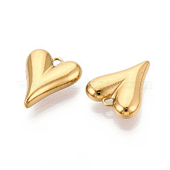304 Stainless Steel Charms&nbsp;STAS-T065-81G