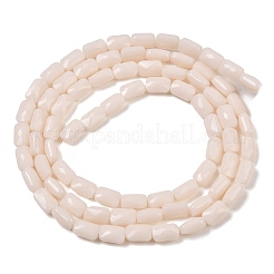 Opaque Glass Beads Strands&nbsp;GLAA-Z018-D18
