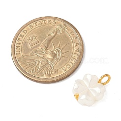 Plastic Pearl Charms&nbsp;PALLOY-JF04027-02