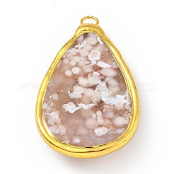 Natural Cherry Blossom Agate Big Pendants&nbsp;KK-G409-03G