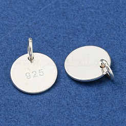 6Pcs 925 Sterling Silver Charms&nbsp;STER-BC0001-64