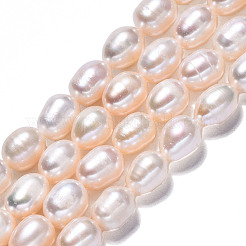 Natural Cultured Freshwater Pearl Beads Strands&nbsp;PEAR-N012-06G