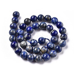 Natural Lapis Lazuli Beads Strands&nbsp;G-E483-17-10mm