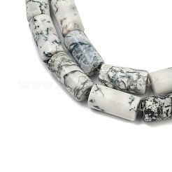 Natural Tree Agate Beads Strands&nbsp;G-U018-B03-01