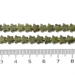 Natural Chinese Jade Beads Strands&nbsp;G-H087-C04-01