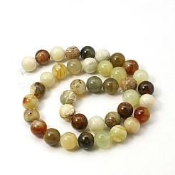 Natural Gemstone Beads Strands&nbsp;G-I007-10mm-01