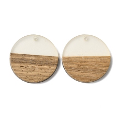Luminous Glow in the Dark Wood & Resin Pendant&nbsp;WOOD-H104-05