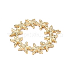 Alloy Pendants&nbsp;FIND-K025-01G