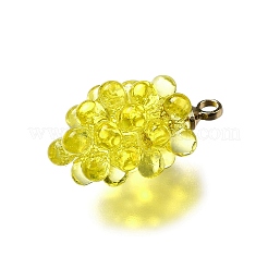 Grape Brass Acrylic Pendants&nbsp;OACR-R006-05G-05