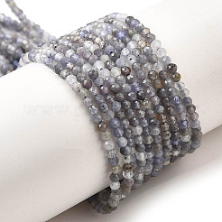 Natural Tanzanite Beads Strands&nbsp;G-S387-A01-2mm