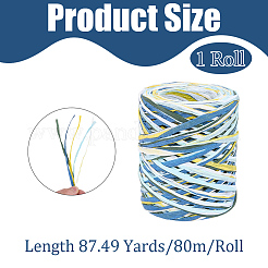 6 Colors Raffia Paper Cords&nbsp;OCOR-WH0063-110C