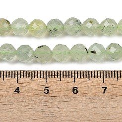 Natural Prehnite Beads Strands&nbsp;G-G281-B02-6mm
