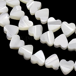 Natural Trochid Shell/Trochus Shell Beads Strands&nbsp;SH-CBA2978-10