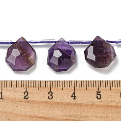 Natural Amethyst Beads Strands&nbsp;G-P544-C01-01