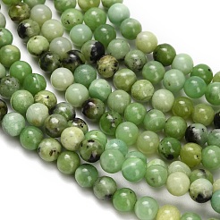 Natural Serpentine Beads Strands&nbsp;G-Z110-C04-4mm