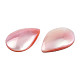 Natural Turbo Cornulus/Top Shells Cabochons&nbsp;SSHEL-N003-157B-4