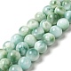 Natural Glass Beads Strands&nbsp;G-I247-32C-1