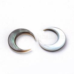 Black Lip Shell Cabochons&nbsp;SHEL-S267-04A